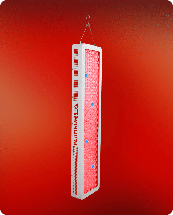 bio-600_3